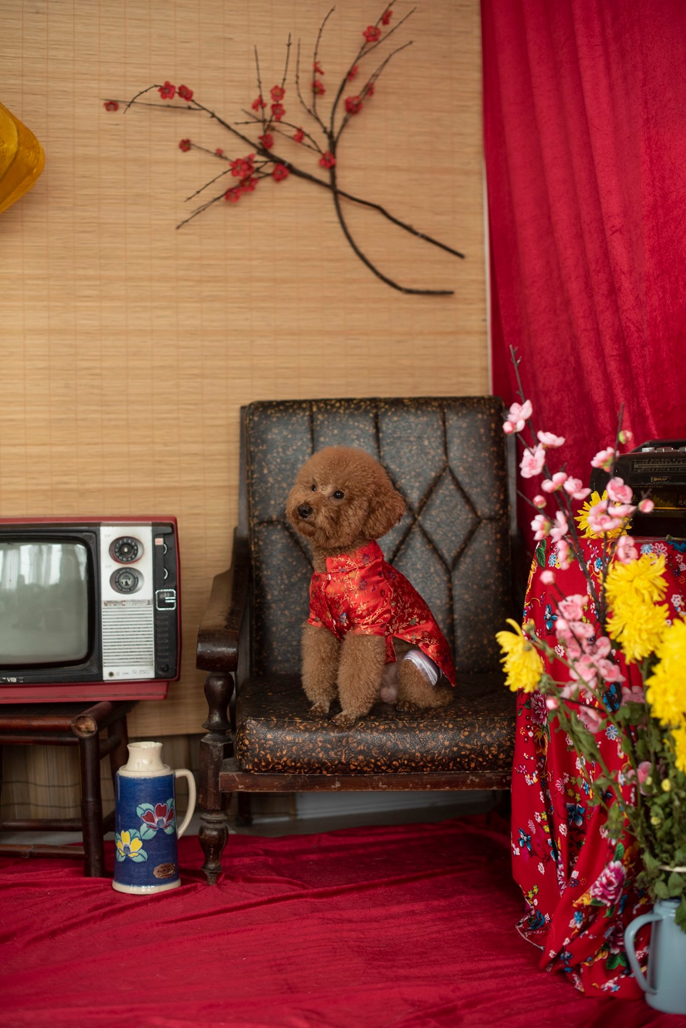 ÁO DÀI QUẦN ÁO CHÓ MÈO THÚ CƯNG TRUYỀN THỐNG DÂN GIAN  ĐỦ SIZE ĐC CHỌN MÀU