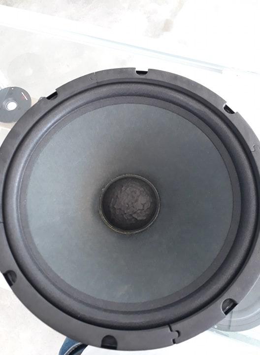 Một củ loa bass 25cm côn từ tùy chọn