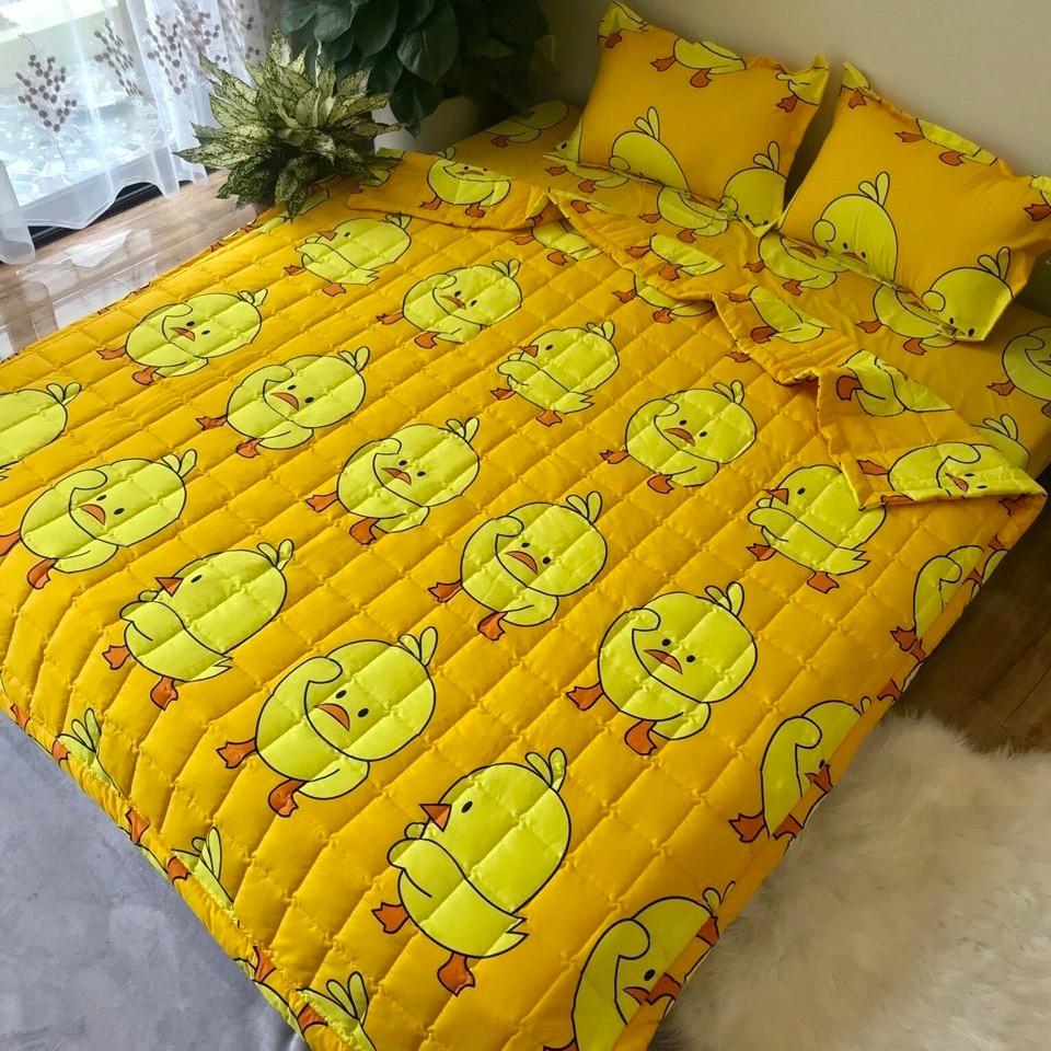 Trọn bộ 5 món chăn hè ga chun vỏ gối poly cotton mẫu mới 2019