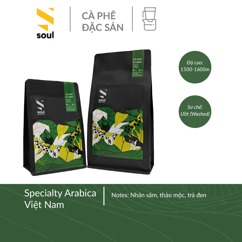 Cà phê đặc sản ủ lạnh - Specialty Arabica - Soul Specialty Coffee