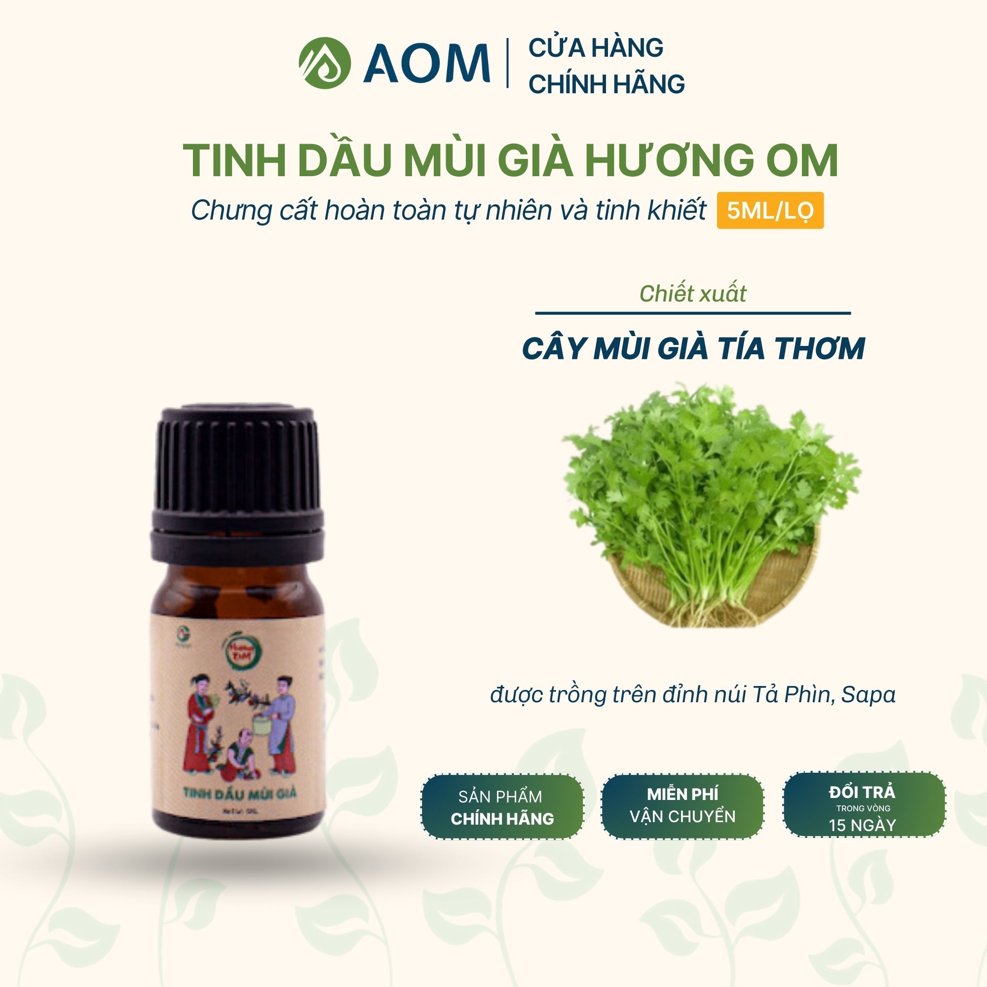 Tinh dầu mùi già giảm suy nhược thần kinh hương om 5ml