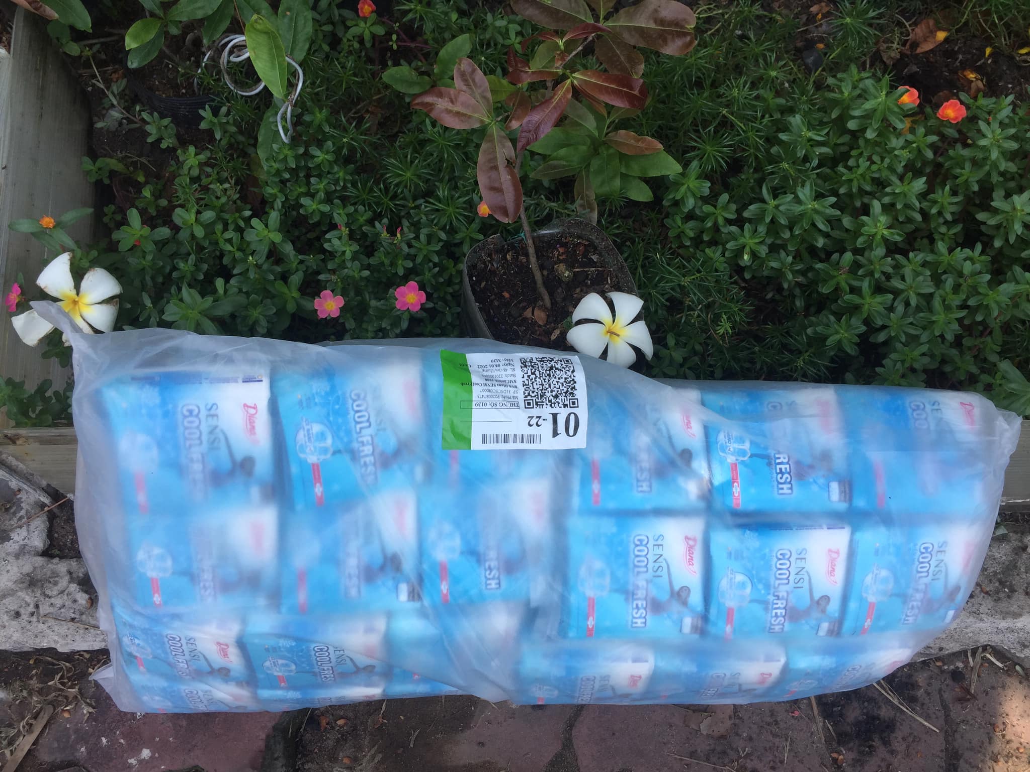 Lốc BVS Diana SENSI Cool Fresh mát lạnh khử mùi siêu mỏng cánh/ 8 miếng/gói, tổng cộng 48 miếng
