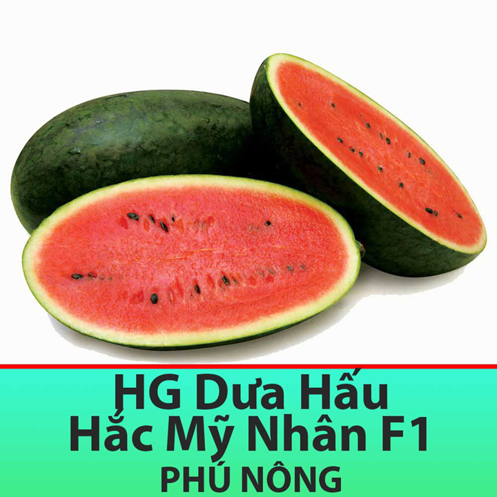 Hạt giống dưa hấu hắc mỹ nhân siêu ngọt, siêu trái 1gr
