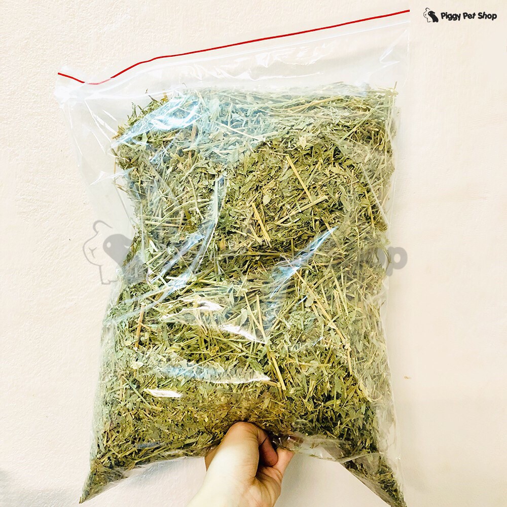 Cỏ Alfalfa loại thường cho Guinea Pig , thỏ, chinchilla