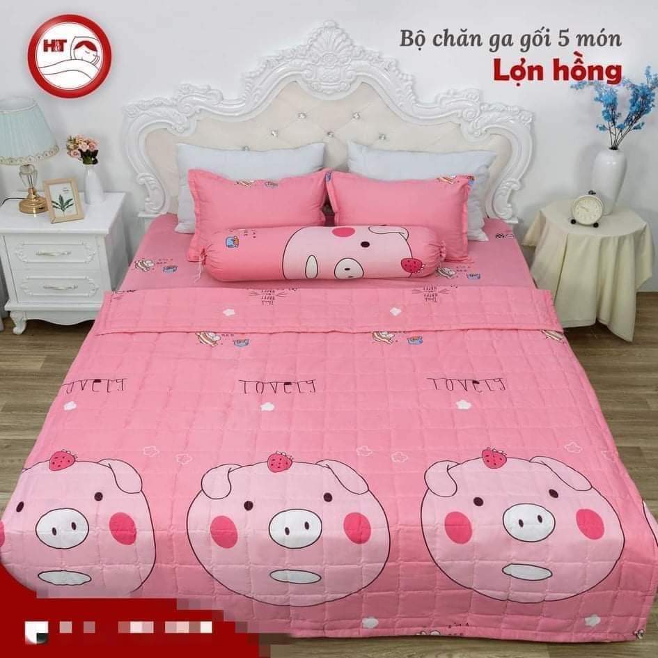 Bộ 5 món chăn ga gối hè thu Cotton poly giá rẻ | Set mền trần bông, drap giường, vỏ gối cotton poly đẹp đủ size