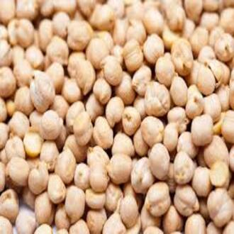 Đậu Gà 500G Trắng (MỸ/ARGENTINA ) Đậu Gà Hữu Cơ Nhập Khẩu Cho Bé Hàng Nhập Mới Liên Tục