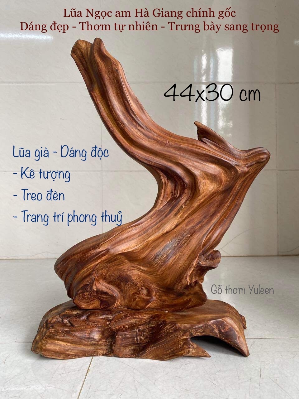 Lũa Ngọc Am Hà Giang, gỗ ngọc am đỏ phong thuỷ, lũa gỗ đẹp, xông trầm, gỗ thơm để bàn, trang trí trưng bày sang trọng. Gỗ thơm Yuleen