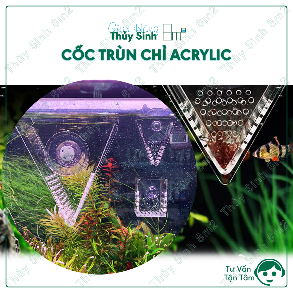 (Acrylic) Cốc Trùn Chỉ Tam Giác Cho Cá Ăn | 8m2