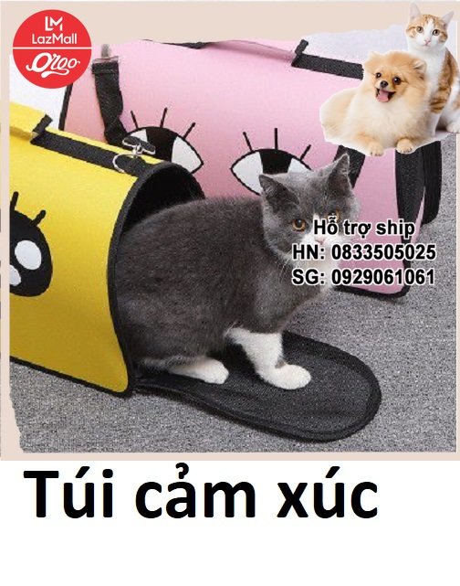 Orgo - Túi Cứng - Túi Vận chuyển chó mèo balo thú cưng túi xách chó mèo