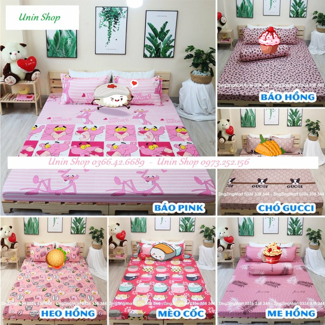 (Thanh lý) Bộ ga gối bọc nệm poly cotton, drap bo chun 2mx2m2, kèm 2 vỏ gối