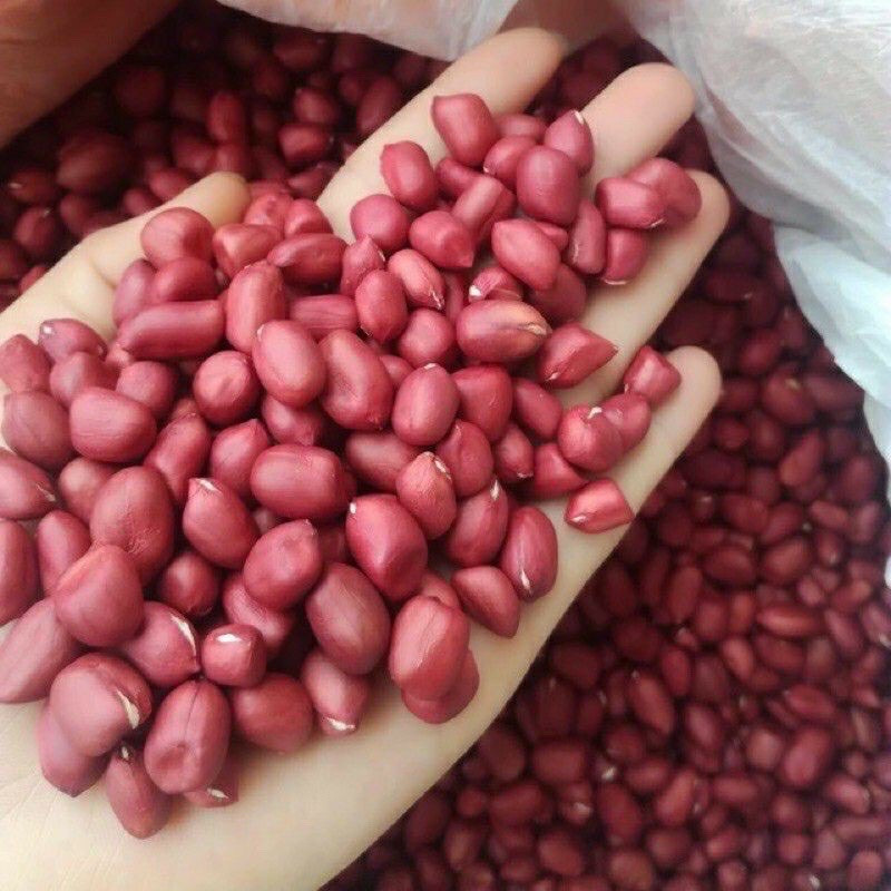 Đậu phọng đỏ tây bắc the nut valley -red peanuts g500gr