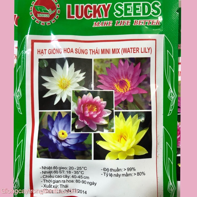 HẠT GIỐNG HOA SÚNG THÁI MINI MIX (WATER LILY)