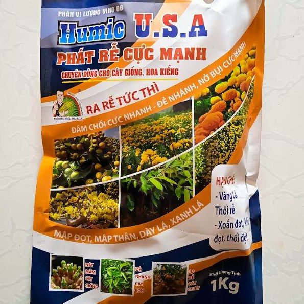 Kích rễ cực mạnh bung chồi xanh cây chống vàng lá thối rễ