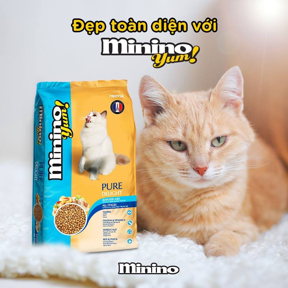 Thức ăn hạt cho mèo minino yum! pure delight gói 350g | thức ăn hạt minino hải sản 350g