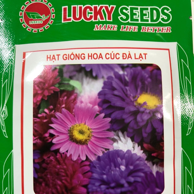 Hạt giống hoa cúc đà lạt