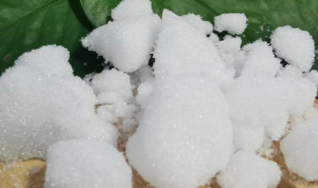 Bột long não 1kg