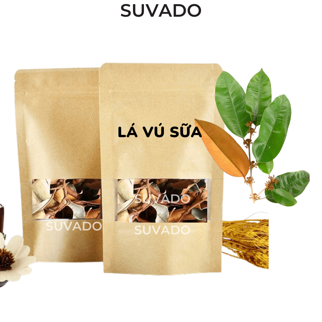 Lá vú sữa khô thơm xanh đã làm sạch tốt cho trào ngược dạ dày VS SUVADO