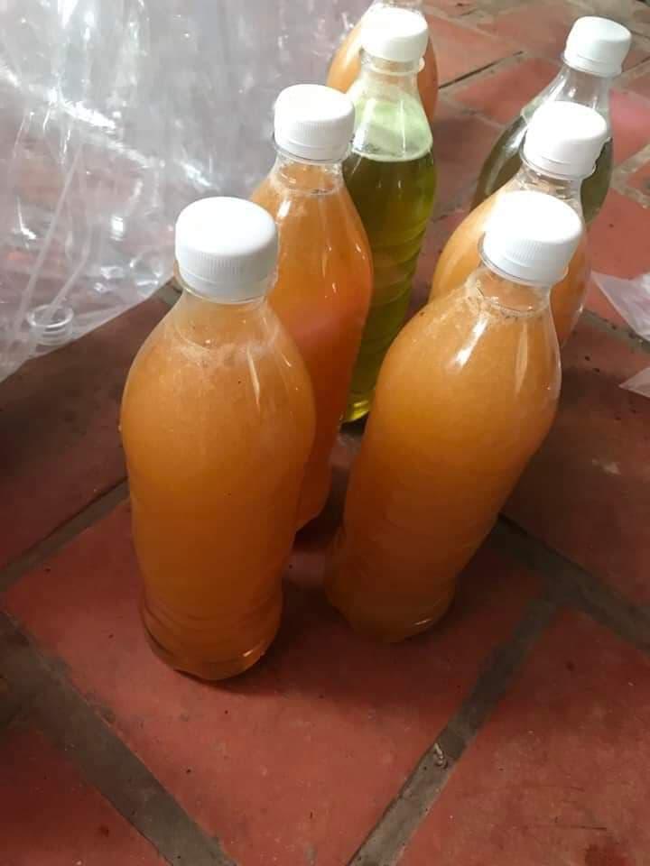 Mật ong khoái rừng Tiêu Chuẩn Xuất Khẩu 500ml