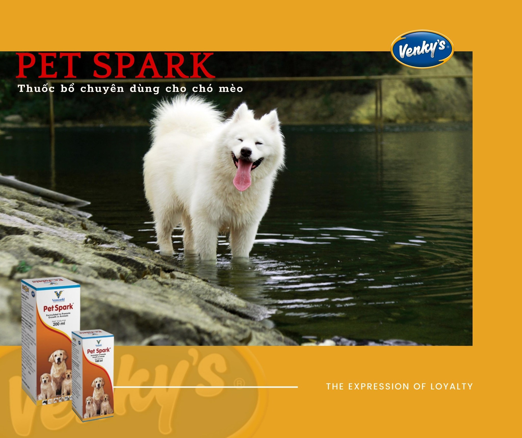 Pet spark Venky Venworld 200ml Thuốc bổ chuyên dùng cho chó mèo made in India