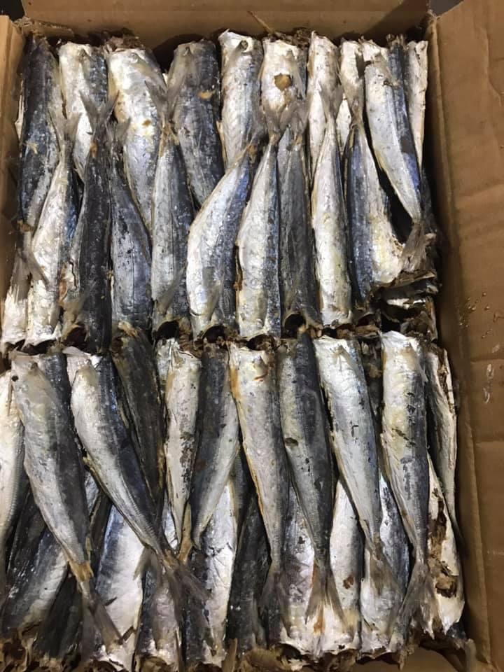 1kg cá NỤC nục hấp nhạt khô, nục nhạt, nục to