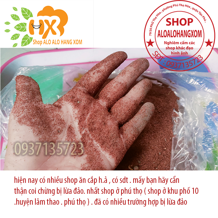 Hạt giống cây tràm úc - 1 ký