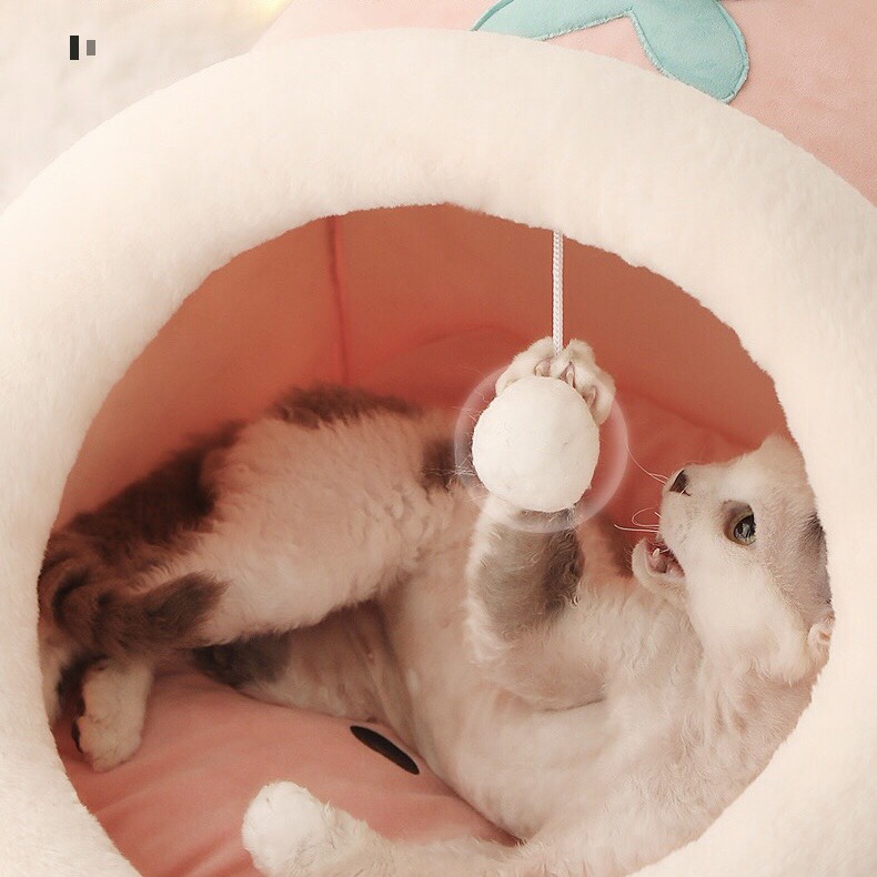 Ổ đệm cho chó mèo hình hoa quả giá rẻ