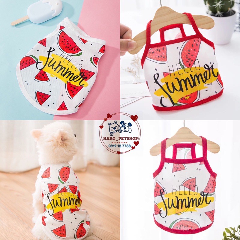 [HCM]Áo hai dây mùa hè hình dưa hấu cho chó mèo đa dạng kích cỡ chất lượng đảm bảo và cam kết hàng như mô tả