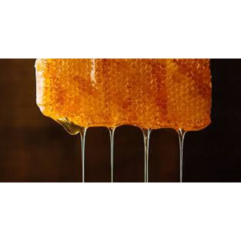 [1 lít] mật ong nguyên chất đặc biệt rừng tây nguyên 2