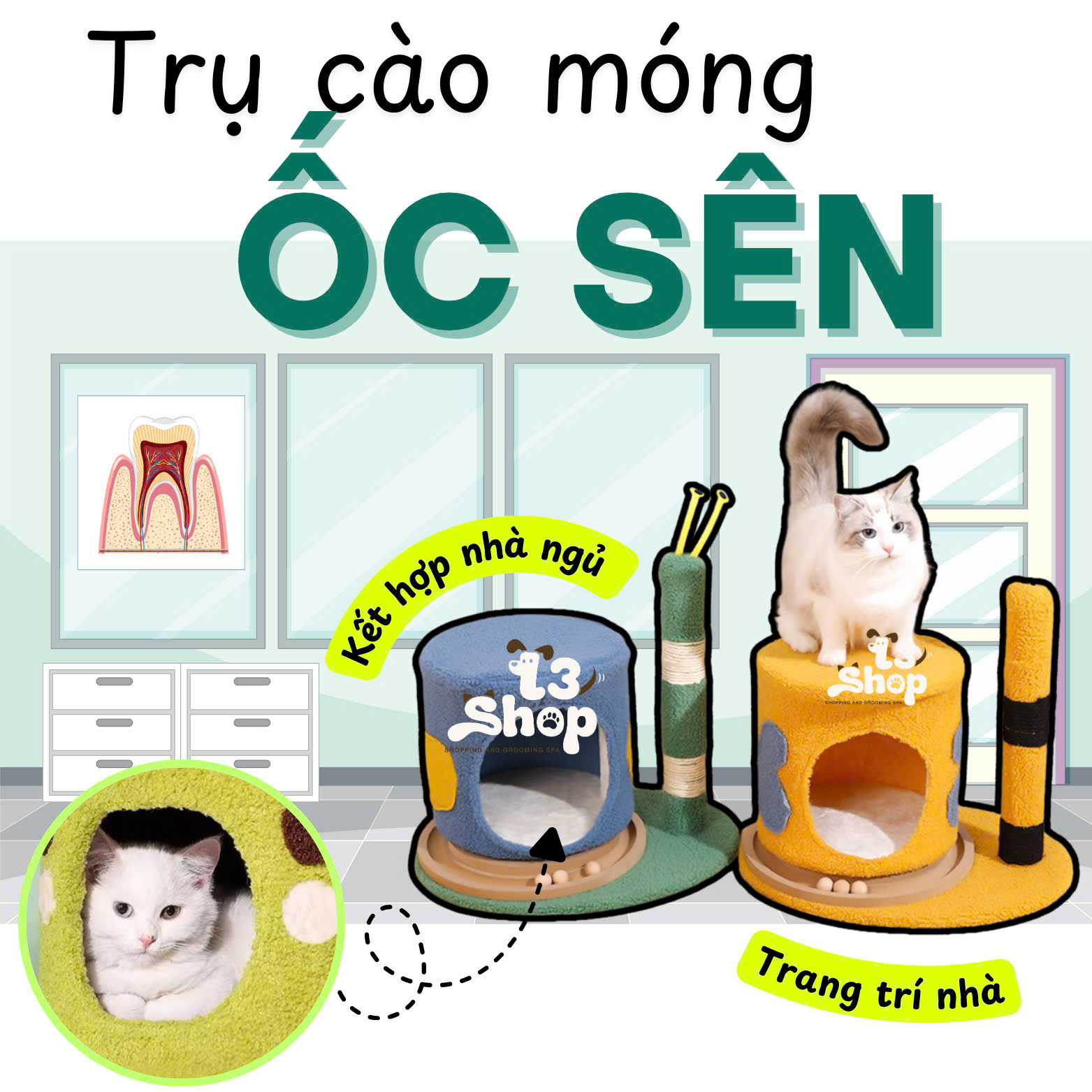 Trụ mèo cào móng ốc sên 43x50x39cm (cat tree) - T3 PETS SHOP