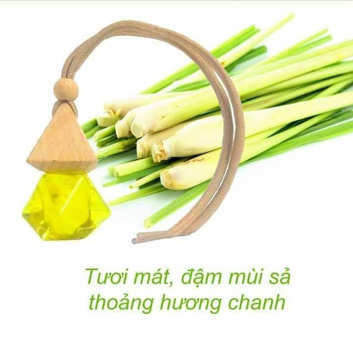 Tinh Dầu Treo Xe Ô Tô Hương Sả chanh– Giúp Khử Mùi – Hơn Cả Sự Đẳng Cấp