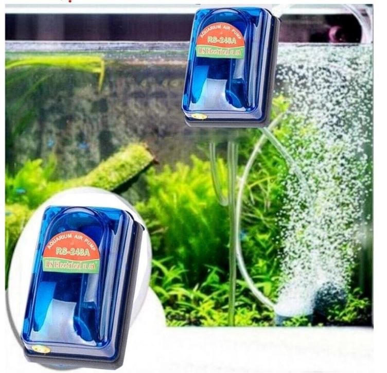 Sủi oxi mini rs 1/2 vòi zá zẻ cho bể cá (tặng ống khí, quả sủi)