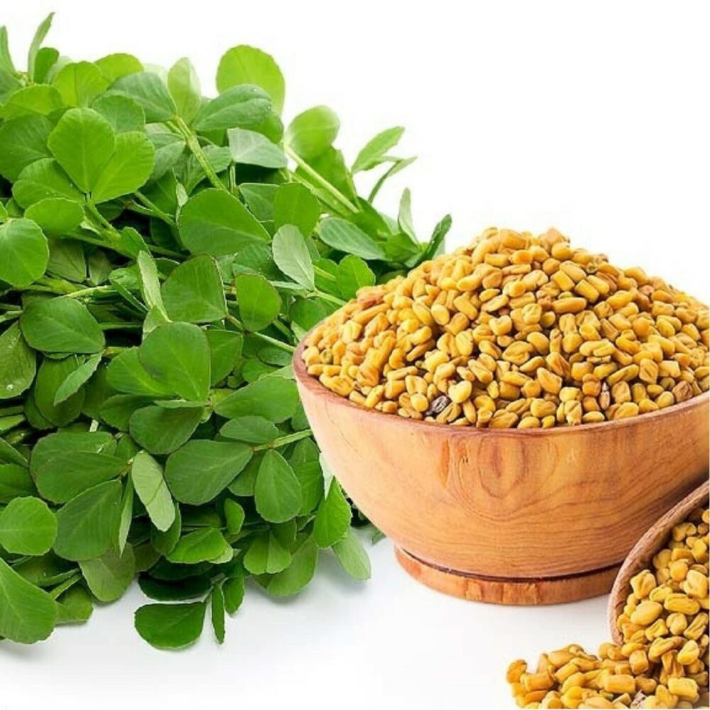 Methi dana - fenugreek seeds - hạt cỏ cà ri methi dana (100g - 500g