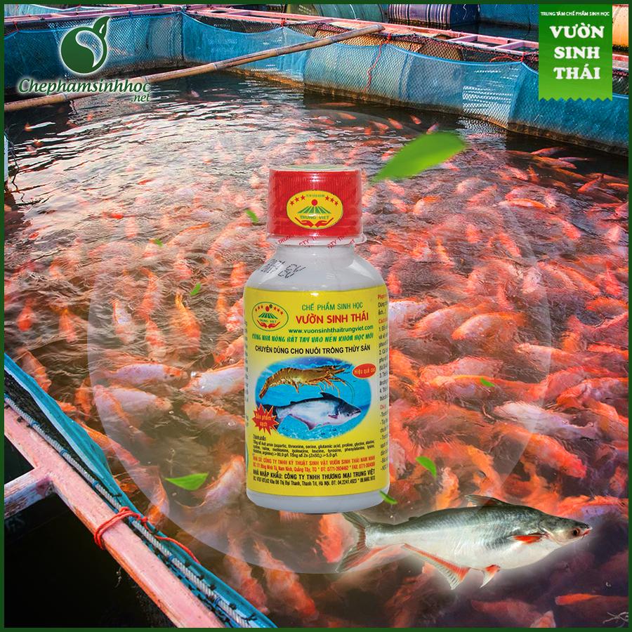 Vườn sinh thái thủy sản