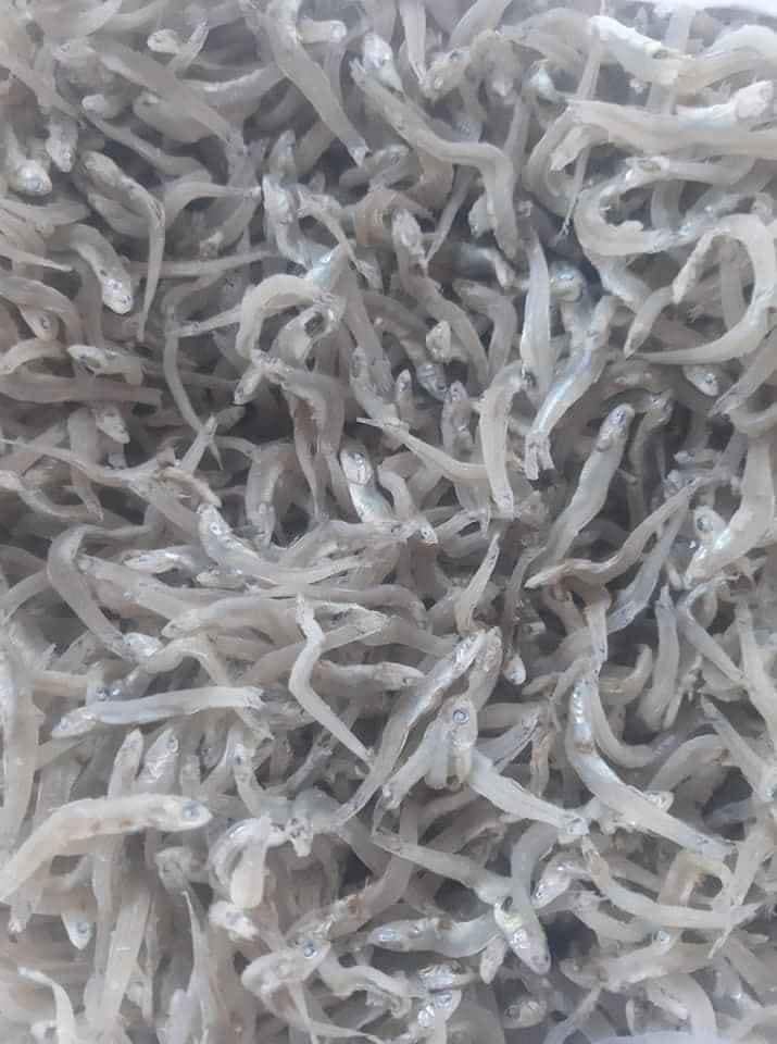 500g cá cơm ngần,cá mờm sữa loại 1 giàu dinh dưỡng, đặc sản phú yên