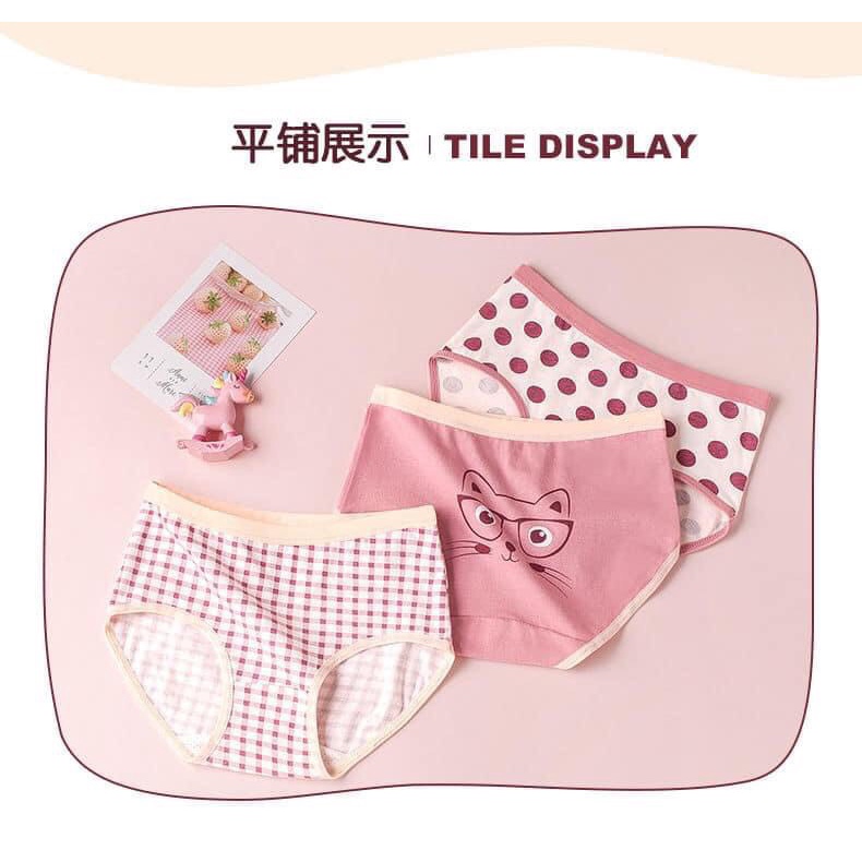 Quần chip bé gái MIKODA Combo 3 chiếc Quần lót đùi Quần tam giác cotton cao cấp bé gái size đại mềm mại QL6