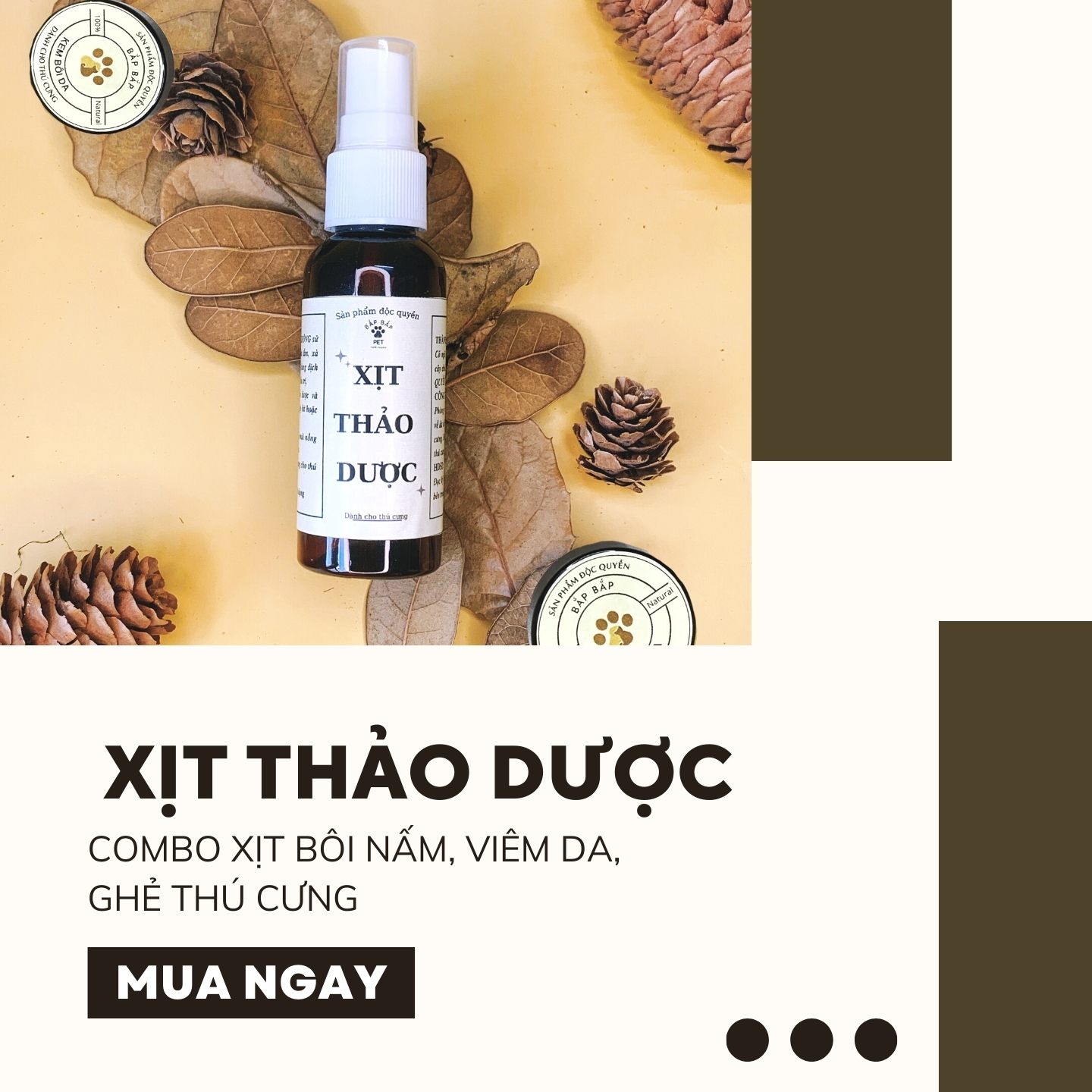 Combo Xịt-Bôi Nấm, viêm da, ghẻ thú cưng