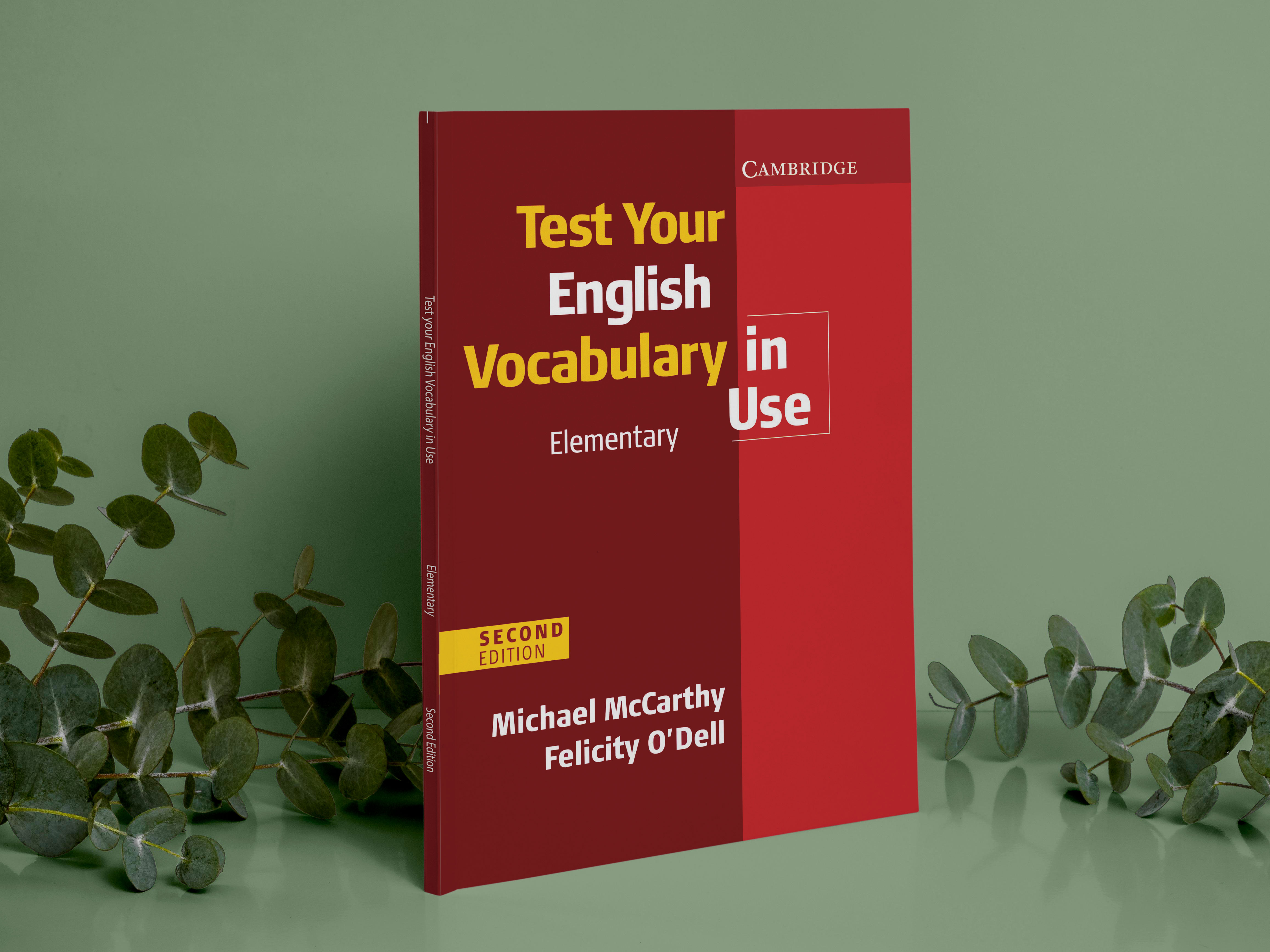 Cambridge Test Your English Vocabulary in Use : Elementary with Key