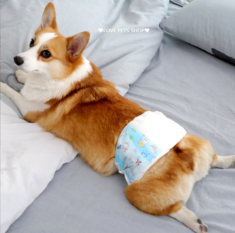 Bỉm quần, tã dán cho Chó Mèo loại tốt - Love Pets Shop