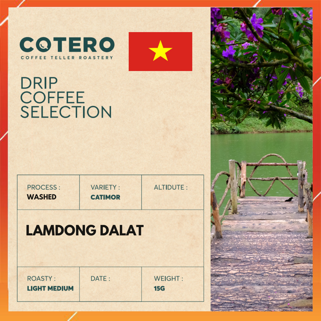 Cà Phê Phin Giấy/Drip Bag Specialty Việt Nam Đà Lạt Washed - COTERO Coffee, Hộp 7 gói, Phin, Drip, Coldbrew