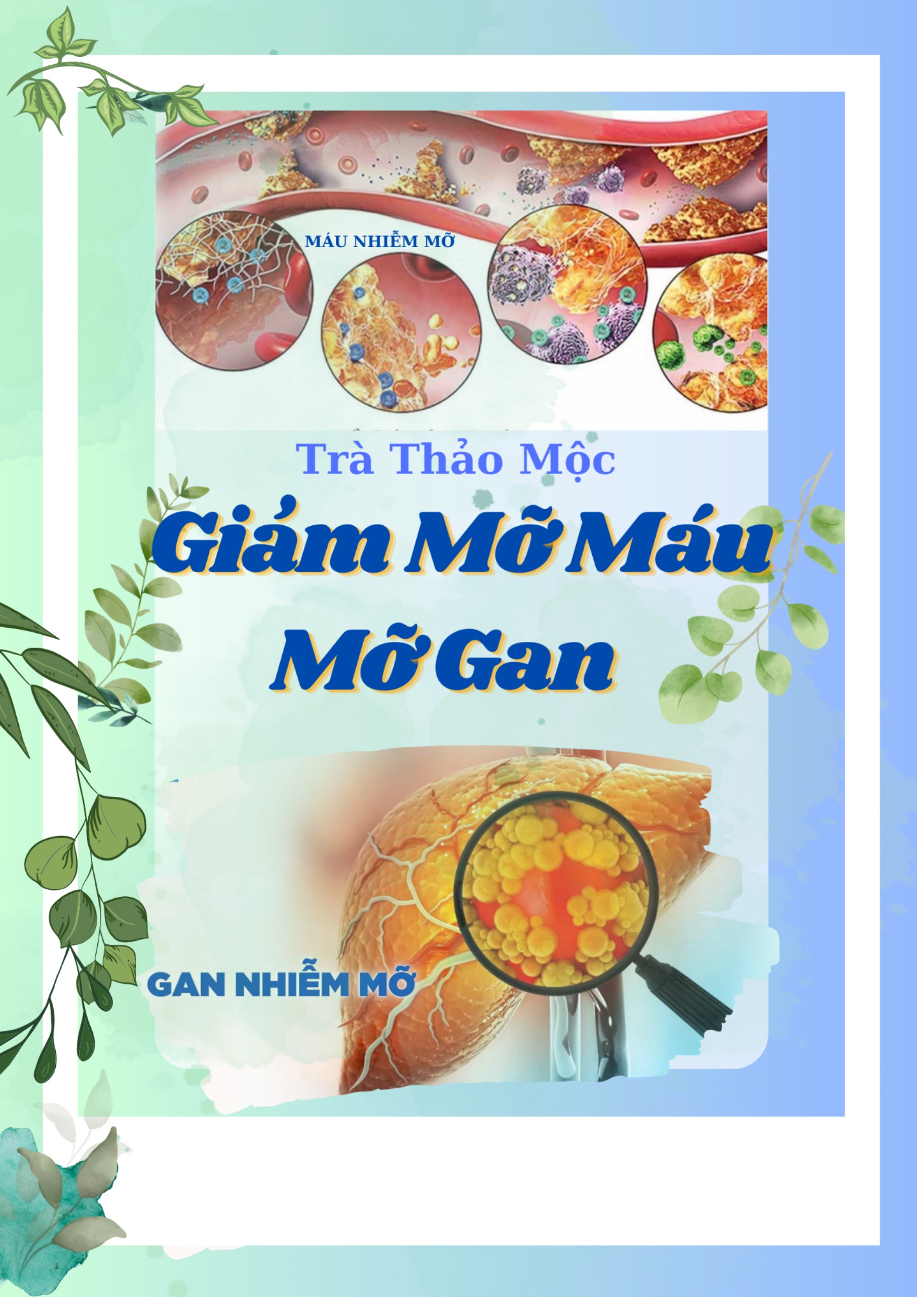Trà giảm mỡ máu mỡ gan, hạ mỡ máu, gan nhiễm mỡ, giảm cân hiệu quả.- 40 túi lọc, trà đông y việt