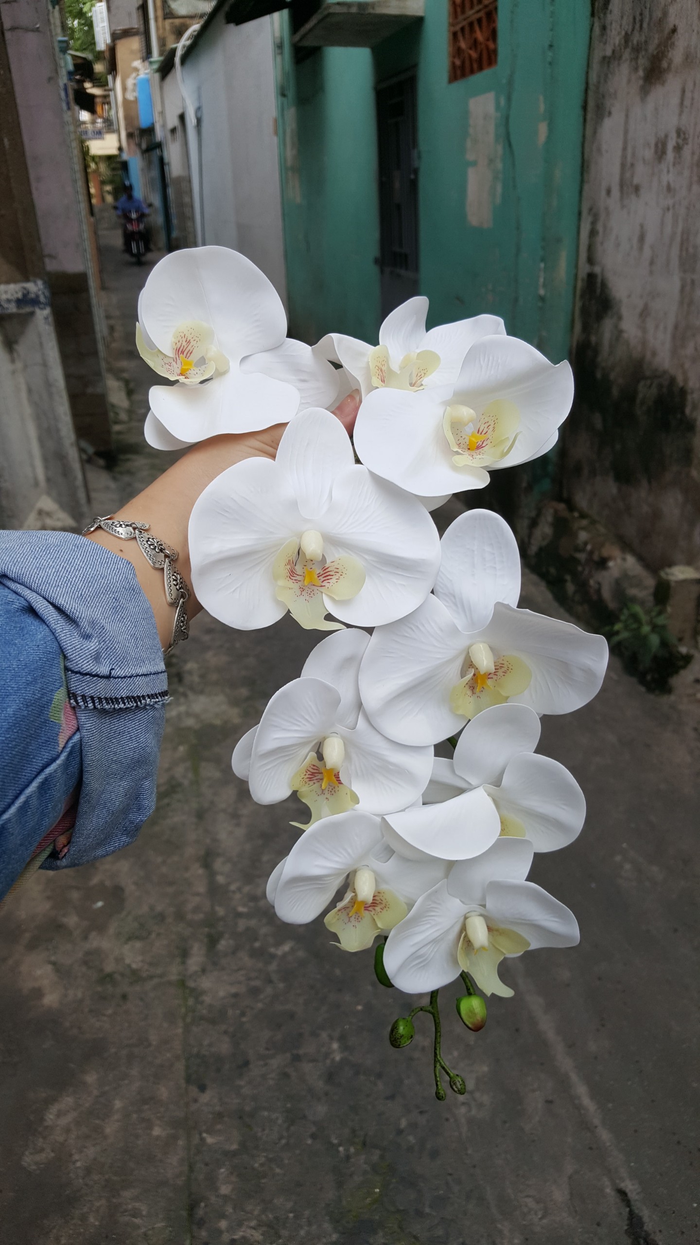 [HCM]1 Cây Lan hồ điệp giả 9 bông 90cm MÀU TRẮNG - Hoa giả - Hương Flower