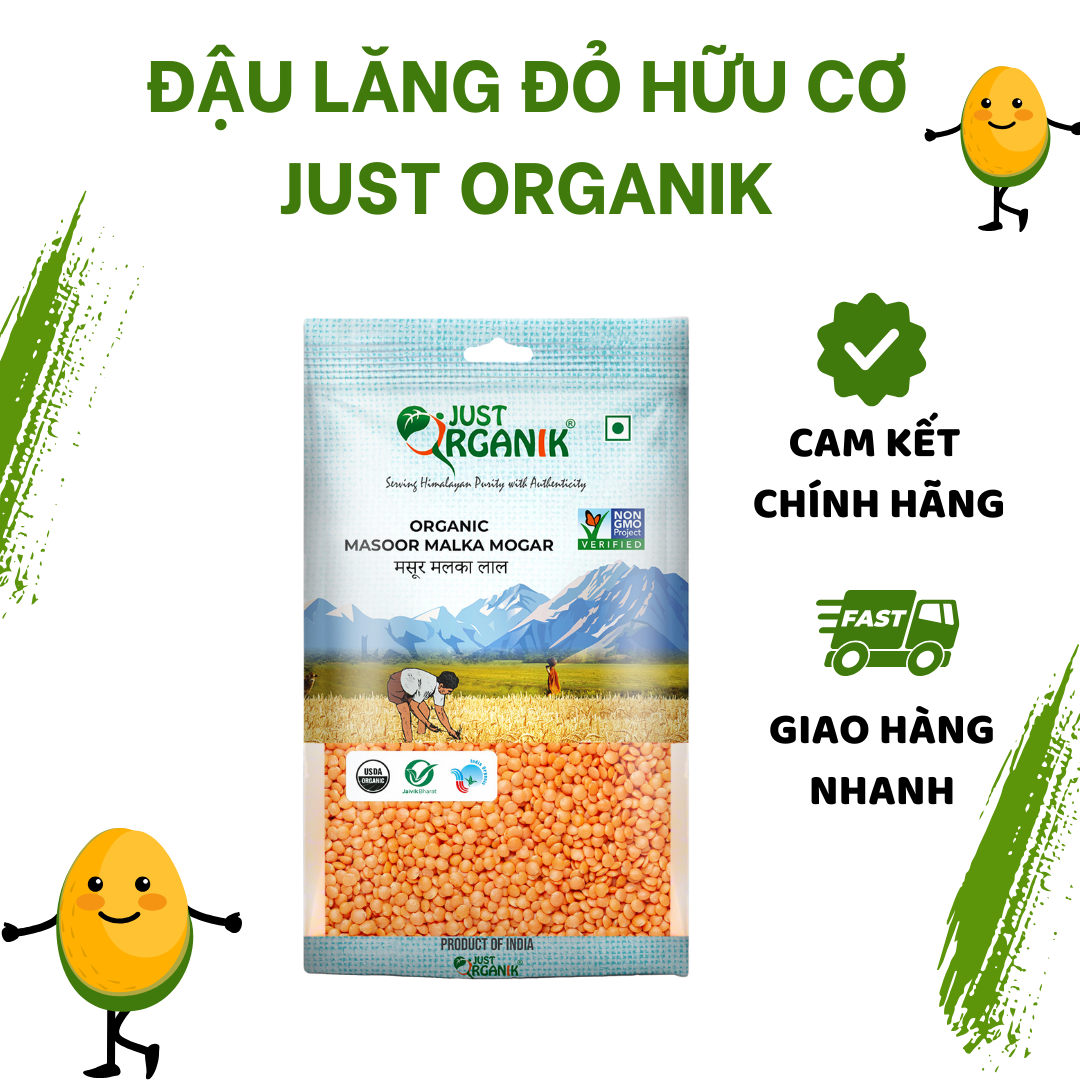 Đậu lăng đỏ tách vỏ còn nguyên hạt hữu cơ bé ăn dặm just organik cao cấp nhập khẩu ấn độ không biến đổi gen 500g
