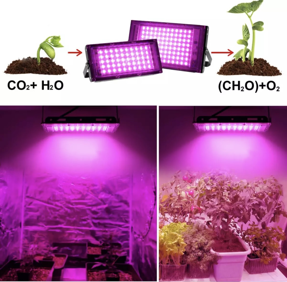 Đèn led quang phổ nuôi trồng cây 220v 50w như hình