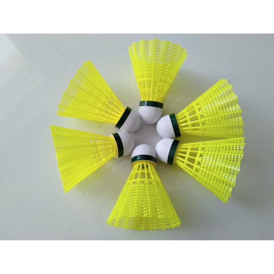 HỘp Cầu Lông Nhựa Siêu Bền 6 trái dành cho người mới chơi hàng nhập khẩu- LYLYSPORTS