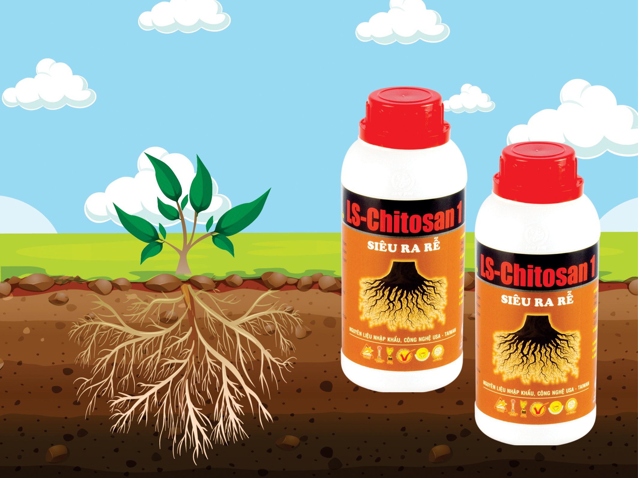 Chitosan phân bón sinh học cho cây ăn trái, hoa, cây cảnh