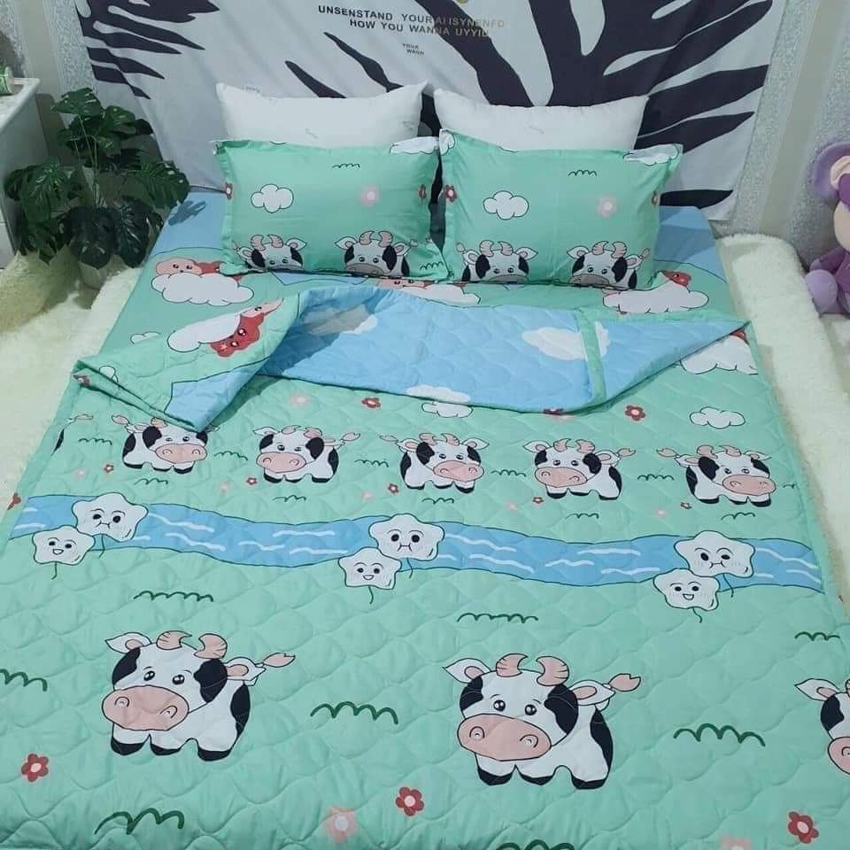 Set 5 món chăn ga gối