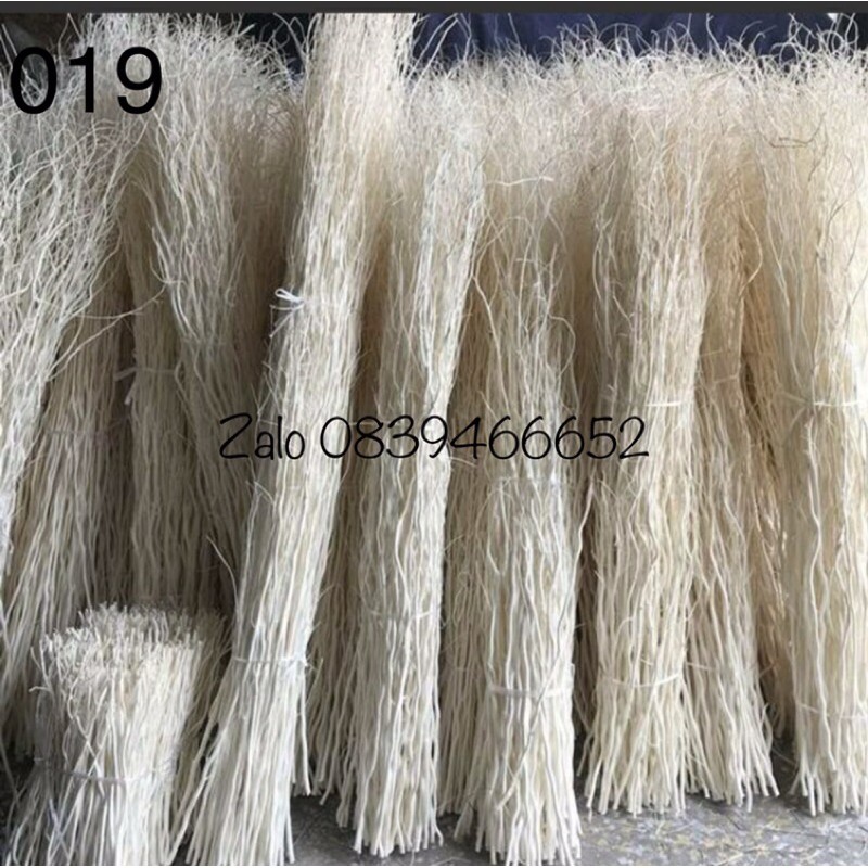 Salix khô, salix trắng nhánh cây salix nhập khẩu, cây khô nhập khẩu