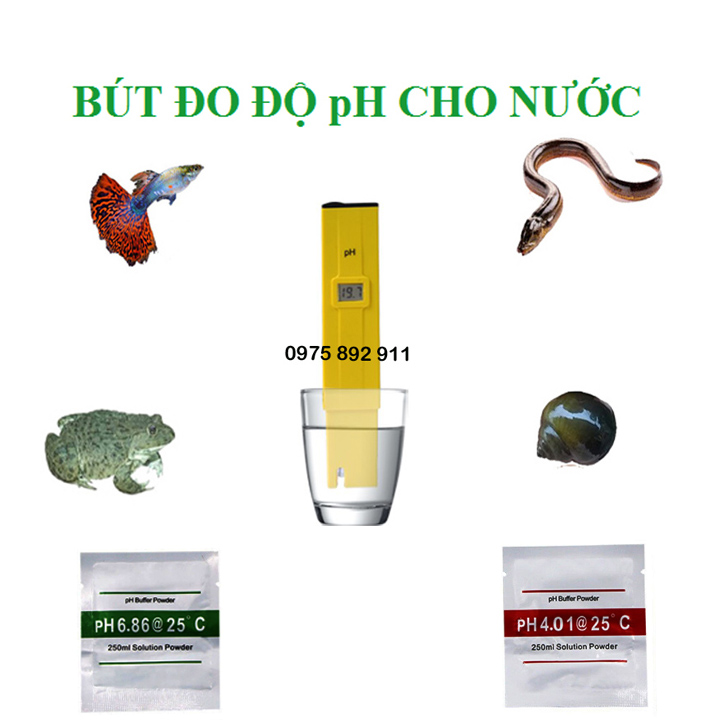 Bút đo độ pH cho nước