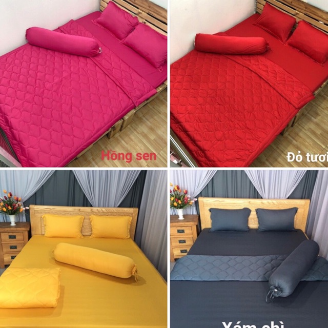 Drap thun Hàn Quốc đủ size