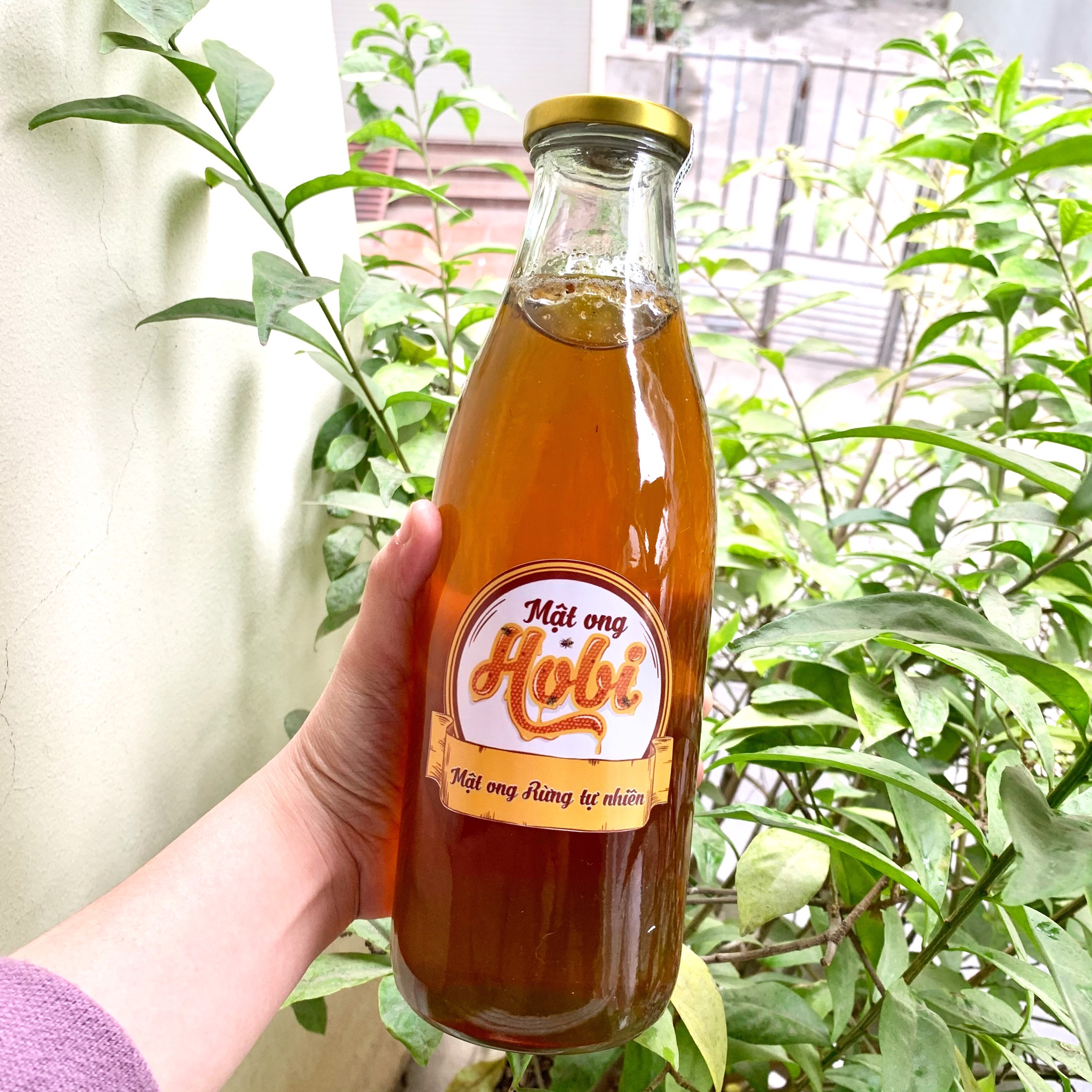 Mật ong rừng tự nhiên Hobi 1000ml [Lấy tại rừng]